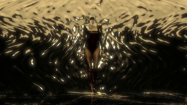Video Reference: Water, Reflection, Wildlife, Cg artwork