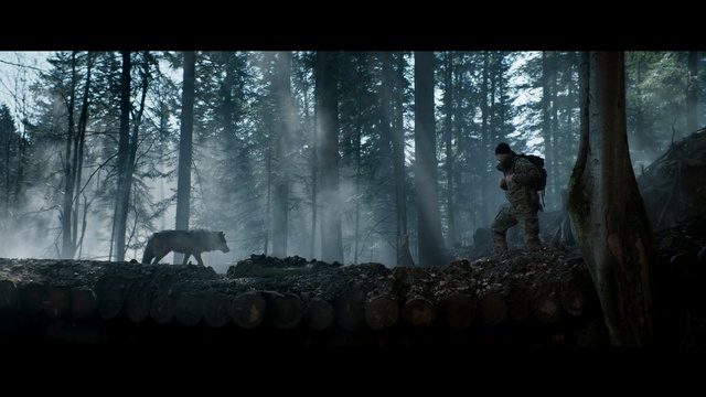 Video Reference: Nature, Woodland, Forest, Atmospheric phenomenon, Natural environment, Tree, Biome, Atmosphere, Morning, Old-growth forest, Snow, Man, Covered, Standing, Table, Mountain, Large, Bench, Woman, Sheep, Riding, Fog, Screenshot, Mist