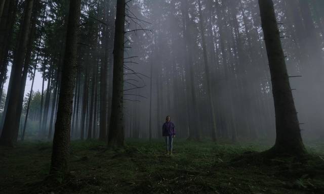 Video Reference: Plant, Atmosphere, People in nature, Sky, Natural landscape, Wood, Branch, Tree, Fog, Trunk