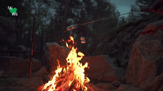 Video Reference: Campfire, Fire, Bonfire, Flame, Heat, Screenshot, Event, Geological phenomenon, Landscape, Style