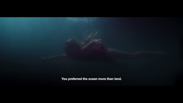 Video Reference: Underwater, Marine biology, Organism, Sea