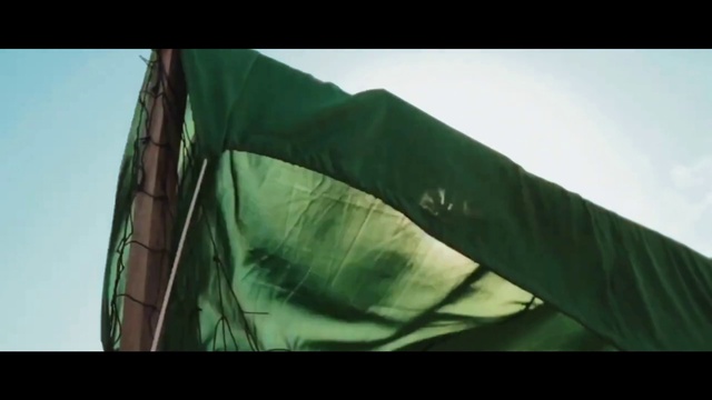 Video Reference: Green, Leaf, Tent, Wind, Plant