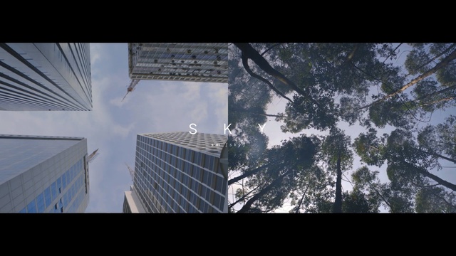 Video Reference: Architecture, Sky, Daytime, Urban area, Tree, Atmospheric phenomenon, Snapshot, Metropolitan area, Skyscraper, Atmosphere
