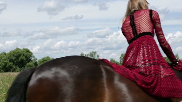 Video Reference: Horse, Outerwear, Mane, Photography, Horse tack