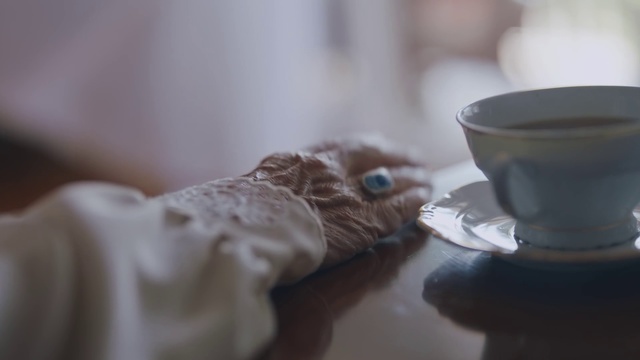 Video Reference: Hand, Room, Photography, Tableware