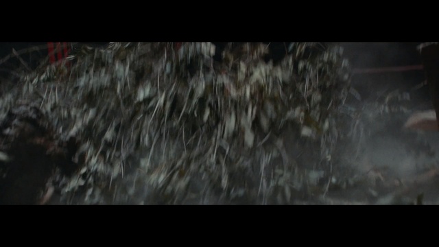 Video Reference: darkness, screenshot, geological phenomenon, midnight, rain, tree, smoke, computer wallpaper, Person