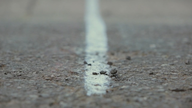 Video Reference: Soil, Asphalt, Road surface, Close-up, Floor, Photography, Pest, Road, Flooring, Concrete