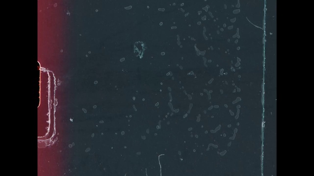 Video Reference: Black, Sky, Blue, Atmosphere, Text, Red, Line, Darkness, Font, Organism