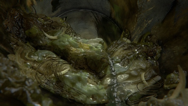 Video Reference: organism, formation