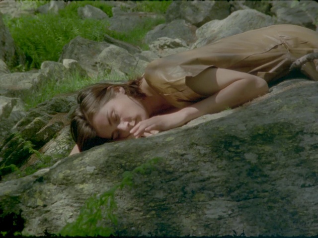 Video Reference: Nature, Grass, Rock, Grass family, Leaf, Organism, Geology, Tree, Adaptation, Plant