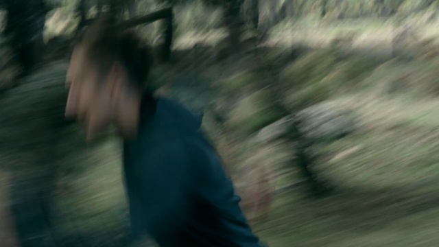 Video Reference: Nature, Photograph, Green, Natural environment, Tree, Woodland, Forest, Wilderness, Photography, Sunlight