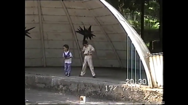 Video Reference: Tree, Architecture, Anime