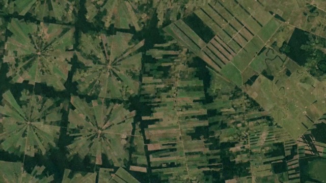 Video Reference: Terrestrial plant, Tints and shades, Symmetry, Pattern, Urban design, Wood, Rectangle, Landscape, Art, Visual arts