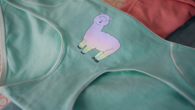 Video Reference: green, white, pink, textile, material, product, organism, t shirt, rat, turquoise