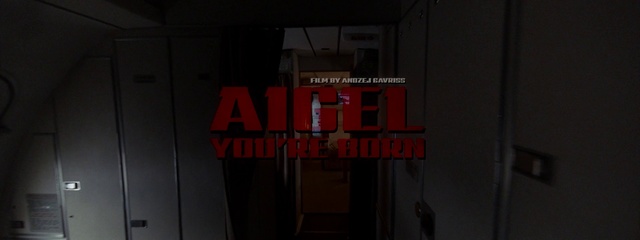 Video Reference: Red, Black, Darkness, Photograph, Text, Light, Font, Room, Snapshot, Pc game