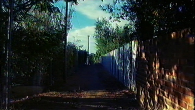 Video Reference: nature, sky, ecosystem, tree, mode of transport, infrastructure, road, light, sunlight, lighting