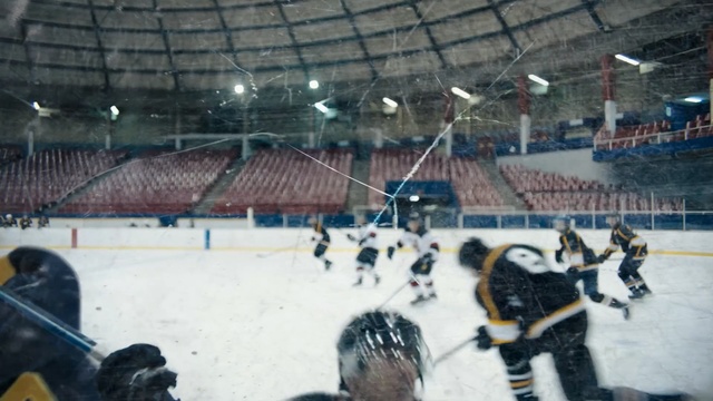 Video Reference: sport venue, snow, structure, ice rink, bandy, ice, ice hockey, winter, player, sports