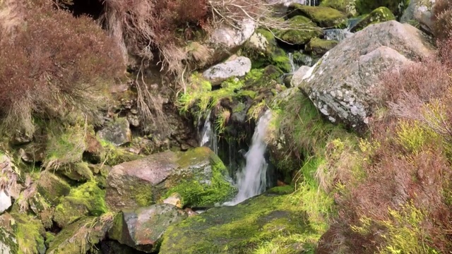 Video Reference: Natural landscape, Nature, Body of water, Water resources, Vegetation, Nature reserve, Stream, Watercourse, Water, Waterfall