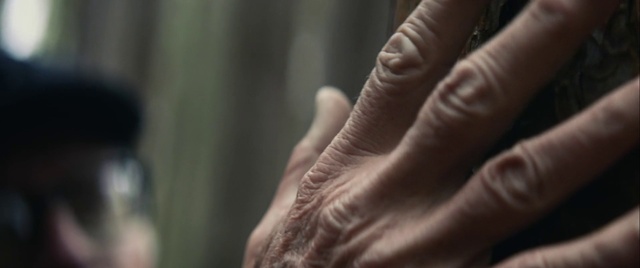 Video Reference: Finger, Hand, Skin, Arm, Nail, Human, Joint, Close-up, Human body, Wrinkle