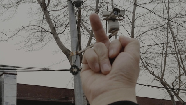Video Reference: tree, branch, hand, twig, wire, Person
