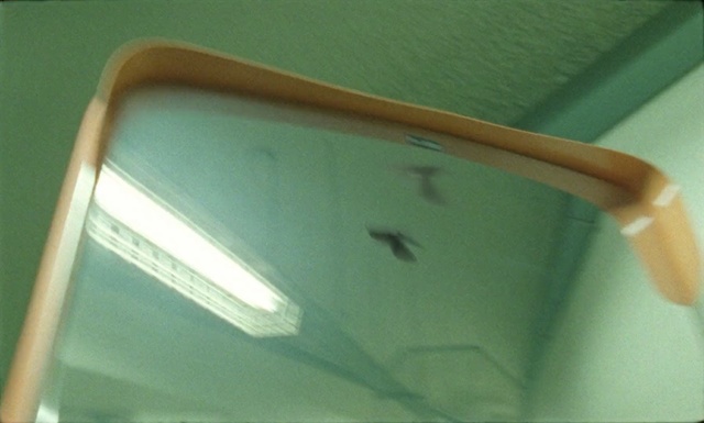 Video Reference: mirror, green, reflection