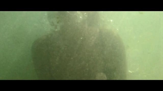 Video Reference: Green, Underwater, Water, Organism, Marine biology, Photo, White, Looking, Large, Sitting, Man, Black, Small, Monitor, Wave, Orange, Room, Colorful, Vase, Bird, Red, Standing, Fish, Cat, Blue, Screenshot, Fog, Text, Ocean floor