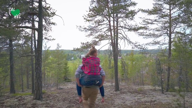 Video Reference: Tree, Wilderness, Atmospheric phenomenon, Trail, Adventure, Recreation, Forest, Walking, Plant, Woodland