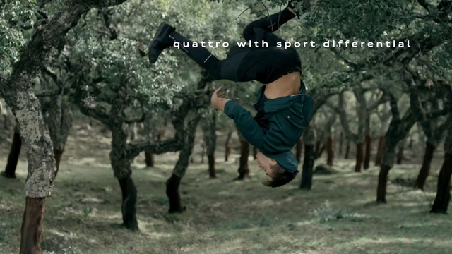 Video Reference: Tree, Branch, Woody plant, Organism, Fun, Plant, Photography, Blossom, Screenshot, Person