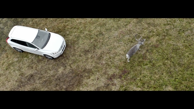 Video Reference: ecosystem, grass, mode of transport, car, vehicle, automotive design, motor vehicle, lawn, automotive exterior, screenshot