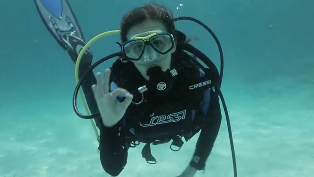 Video Reference: Scuba diving, Diving equipment, Diving mask, Underwater diving, Divemaster, Underwater, Oxygen mask, Buoyancy compensator, Aquanaut, Recreation, Person