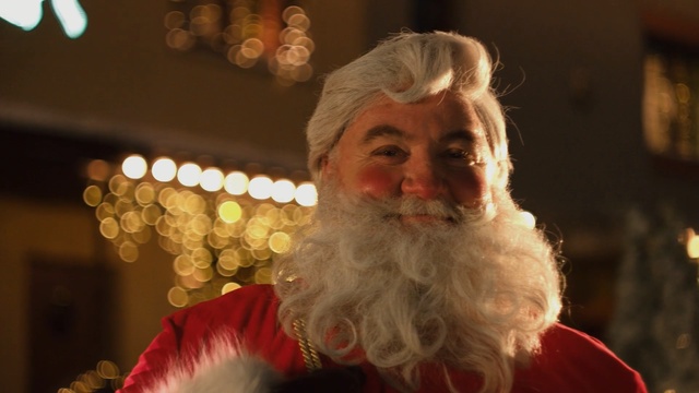 Video Reference: Facial hair, Hair, Beard, Santa claus, Christmas, Moustache, Fictional character, Smile, Person