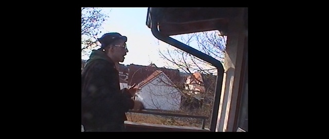 Video Reference: Window, Tree