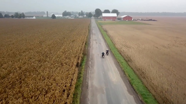 Video Reference: field, crop, agriculture, grass family, plain, farm, soil, rural area, harvest, ecoregion