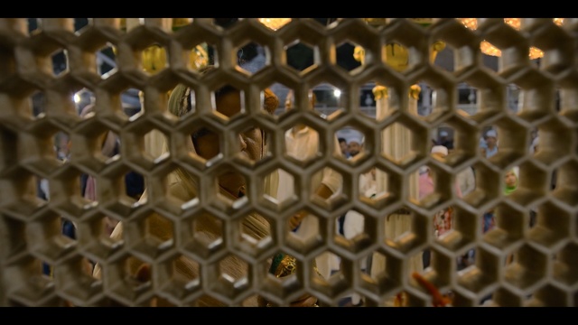 Video Reference: Pattern, Bee, Beehive, Design, Symmetry, Honeybee, Organism, Membrane-winged insect, Honeycomb, Insect
