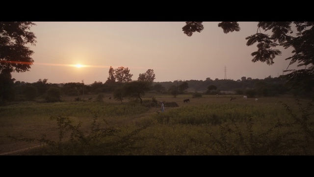 Video Reference: Nature, Sky, Savanna, Atmospheric phenomenon, Morning, Natural environment, Horizon, Plain, Evening, Sunrise
