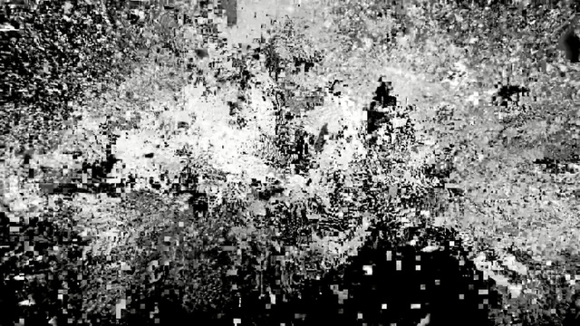 Video Reference: Black-and-white, Black, Monochrome photography, Monochrome, Water, Photography, Stock photography, Plant, Art, Style