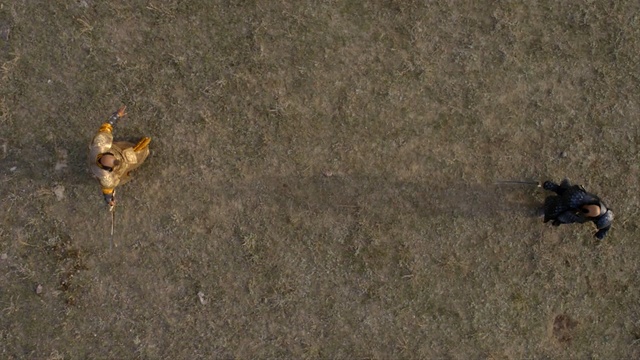 Video Reference: Soil, Brown, Insect, Organism, Pest, Wildlife, Fly, Bug