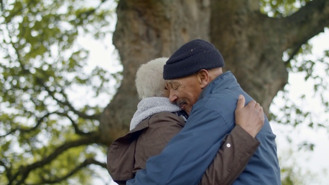 Video Reference: Tree, Photography, Branch, Plant, Cap