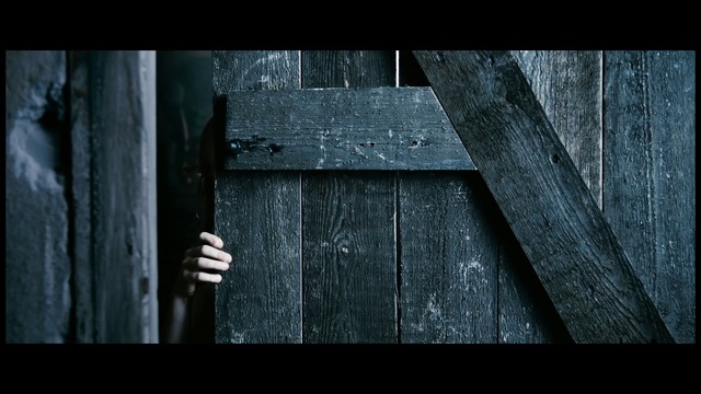 Video Reference: Wood, Darkness, Still life photography, Photography, Tree, Architecture, Shed, House, Plank, Symmetry