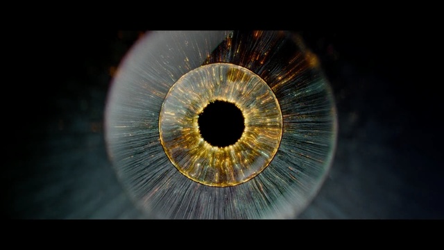 Video Reference: Eye, Iris, Organ, Light, Close-up, Organism, Macro photography, Circle, Human body, Stock photography, Person