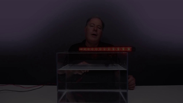 Video Reference: Darkness, Sky, Photography, Screenshot, Furniture, Indoor, Person, Sitting, Dark, Room, Television, Front, Man, Woman, Table, Young, Holding, Bed, Lit, Standing, Screen, Living, Red, White, Guitar, Wall, Human face