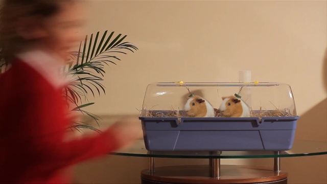 Video Reference: table, furniture, glass