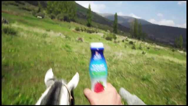 Video Reference: Meadow, Grass, Fun, Grassland, Pasture, Rural area, Photography, Horse