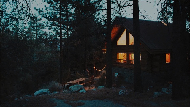 Video Reference: nature, tree, night, light, darkness, house, evening, lighting, winter, sky, Person