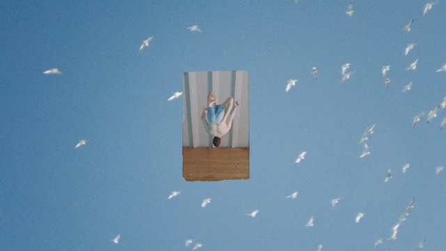 Video Reference: Sky, Wing