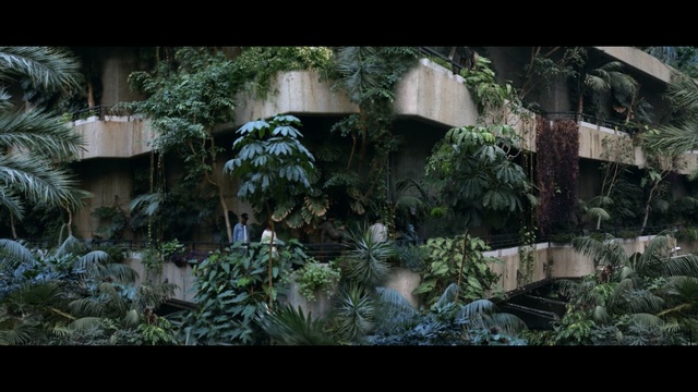 Video Reference: Nature, Vegetation, Natural environment, Tree, Biome, Jungle, Leaf, Rainforest, Plant, Landscape