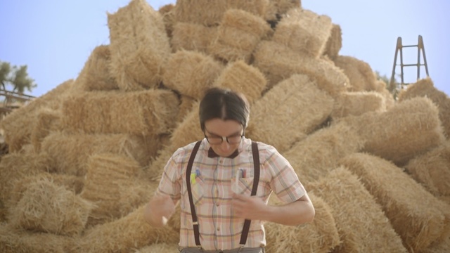 Video Reference: hay, straw, grass family, sky, agriculture, commodity, field, harvest, Person