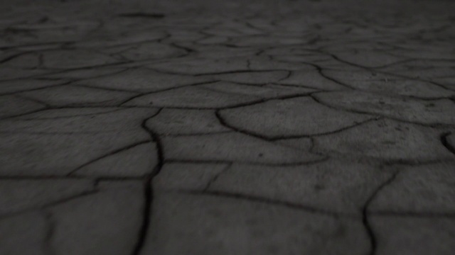 Video Reference: Black, Brown, Wood, Floor, Line, Road surface, Pattern, Geology, Drawing, Landscape