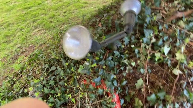 Video Reference: Lighting, Grass, Light fixture, Street light, Soil, Plant, Lawn