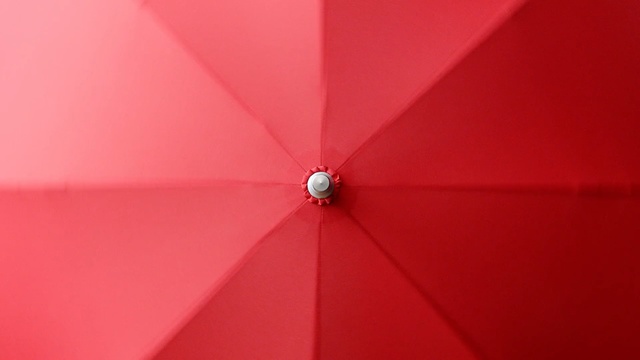 Video Reference: red, line, macro photography